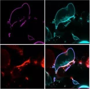 1510880365203065911.jpg KpxB-fynwnty3491392.jpg