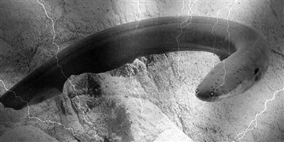 1513211966796019970.jpg chd7c75_b.jpg