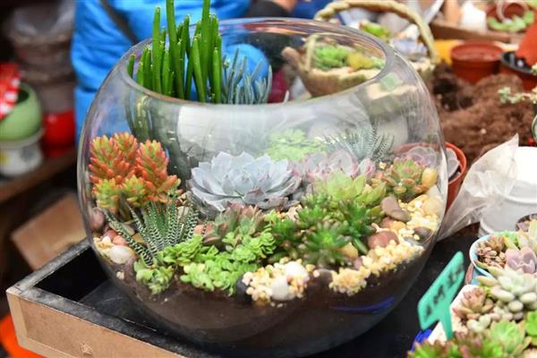 1514854186343008173.jpg 8NN_-fyqefvw7972320.jpg