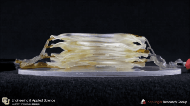 1515635012000043115.gif ZBVe-fyqnici7272175.gif