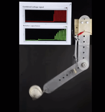 1515635023562015471.gif i1mK-fyqnici7272174.gif