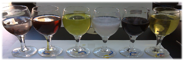 1515635180171007952.png 134599109_14416233282131n.png