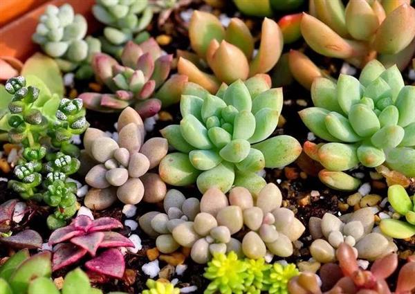 1515635383500082031.jpg fJzH-fyqefvw7972520.jpg