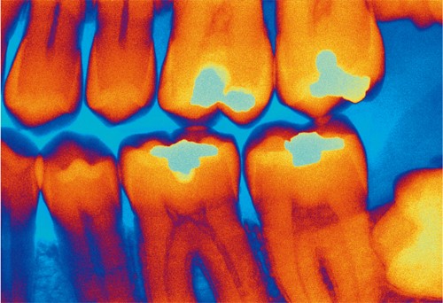 1517274087671039872.jpg 136879722_15153896509001n.jpg