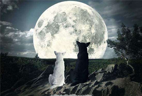 1520213598906004514.jpg 02155610a681.jpg