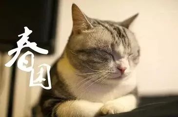 1522025921875027067.jpg d439b6003af33a872f80be1cca5c10385243b5c3.jpg