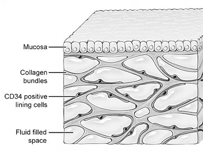 1522368834250056415.jpg changlj8395_b.jpg
