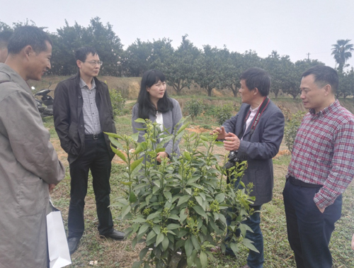 1522715058562082756.jpg 20184295154206.jpg