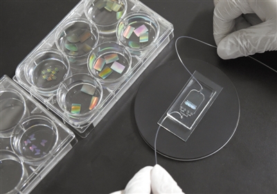 1522803828140098284.jpg hzp8411_b.jpg