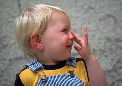 1523838950546002313.jpg 640.webp.jpg