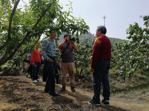 1524010825421032599.jpg 2018417164030358.jpg