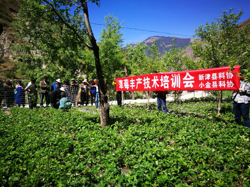 1524445889484032101.jpg 201842016841564.jpg