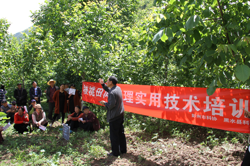 1527555538406087839.jpg 201852817142461.jpg