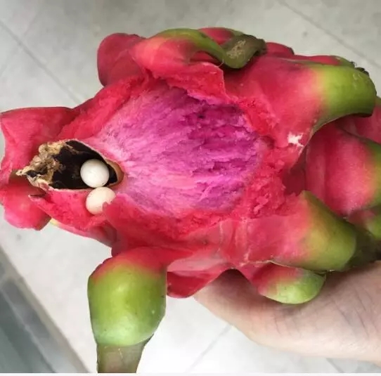 1528082139375021973.jpg 640.webp.jpg