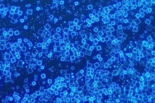 1528882544703020930.jpeg EA274C2CEC0C78438BFD96FD2945146CED3DA132_size42_w500_h333.jpeg