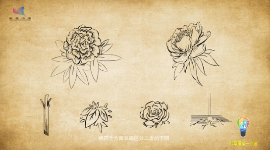 1528883085062068172.png 137214884_15278502787491n.png