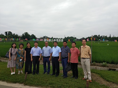 1529973780046063577.jpg 2018625164331393.jpg