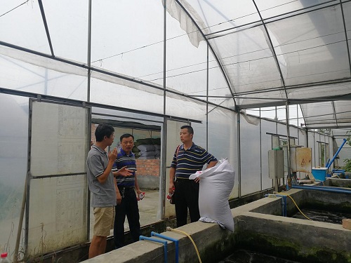 1530497122281039702.jpg 201862914583857.jpg