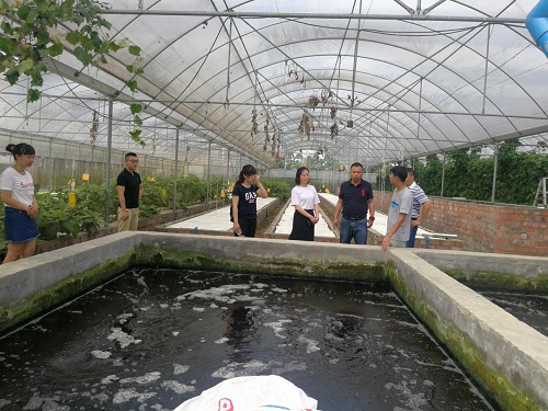 1531184927656096172.jpg 201879165538233.jpg