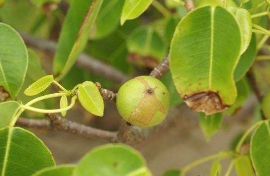 1531190106187080971.jpg timg.jpg