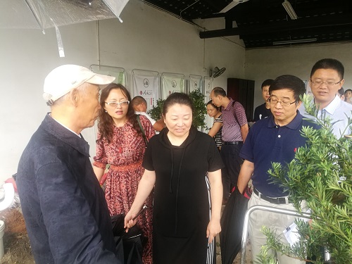 1531271812515035987.jpg 2018710171225749.jpg