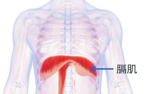 1532394695953012662.jpg 153207395677711b0704d50.jpg