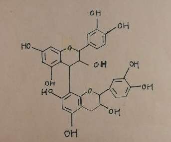 1533104811953031874.jpg 137354727_15328313202491n.jpg