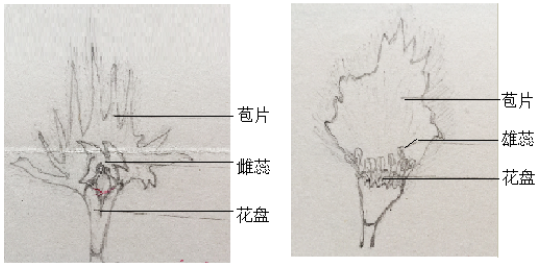 1533104946796077024.png 2.png