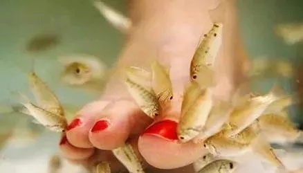 1537232060859012841.jpg 640.webp.jpg