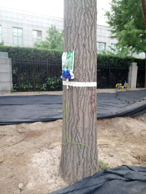 1537929952562039819.png 137484295_15375179025551n.png