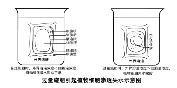 1539656788031065930.png 137528087_15393312960451n.png