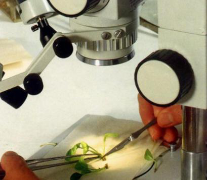 1539658056984000576.png 137528083_15393306922001n.png