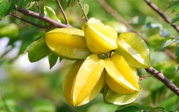 1539658644031054485.jpeg b0cfbb1e1ef84e3c96ec082c829de4c4.jpeg