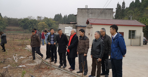 1544164498109056100.jpg 2018123145728699.jpg