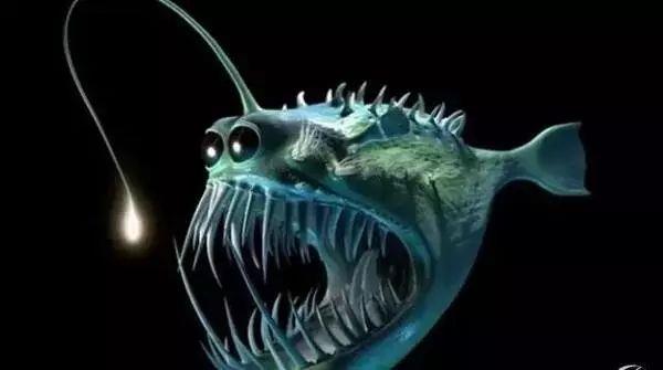 《海王》里撑起半边天的海洋生物 现实中也相当厉害