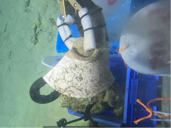 “深海勇士”在南海打捞宋代瓷碗碎片（“深海勇士”号/摄）