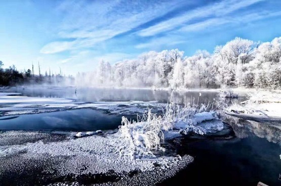 1545724498140092684.jpg 137663861_15444902171281n.jpg