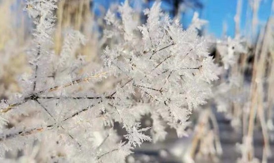 1545724504390097894.jpg 137663861_15444903083591n.jpg