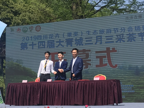 1554857823890083822.jpg 20194994031696.jpg