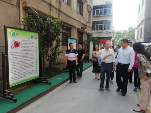 1556412683015042322.jpg 2019426155525406.jpg