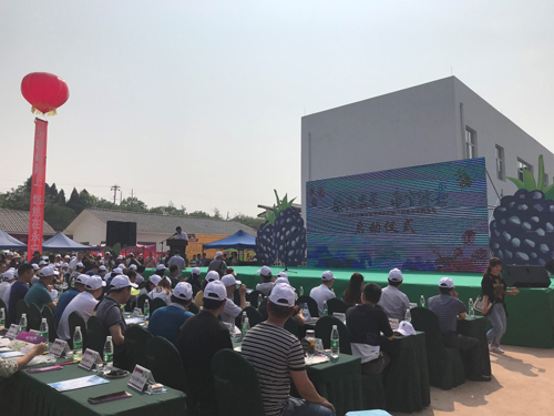 1556500742250093003.jpg 2019428164731164.jpg