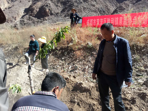 1556500856562056944.jpg 2019428162416426.jpg