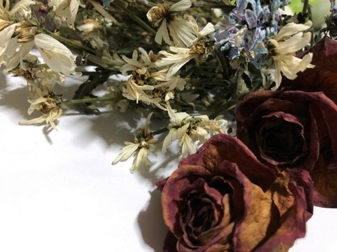 1557128815203049573.jpg 138017475_15564141081671n.jpg