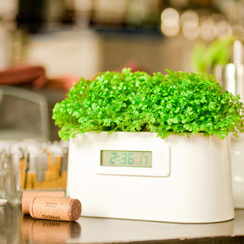 1558421167859096951.png jQvqjuWO1JC65zunPz9FLhLxCO3D6caSRUzX.png