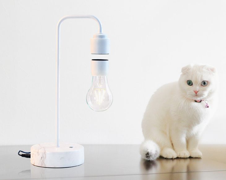 1560153133406072361.jpg 20190607-light-7.jpg