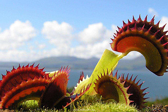 1560311319671042769.jpg W020190610360357964733.jpg