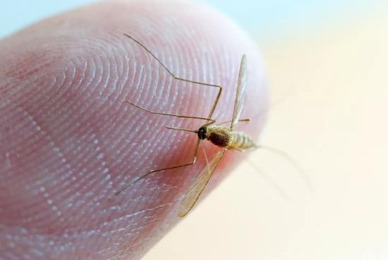 1560483245984098521.jpg 63ae-hymscpp9961407.jpg