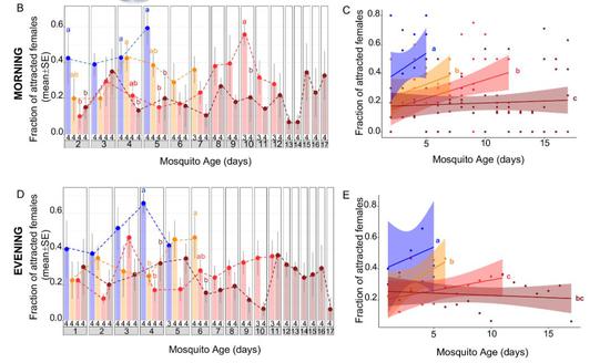 1560483271531070611.jpg 0bda-hymscpp9961443.jpg