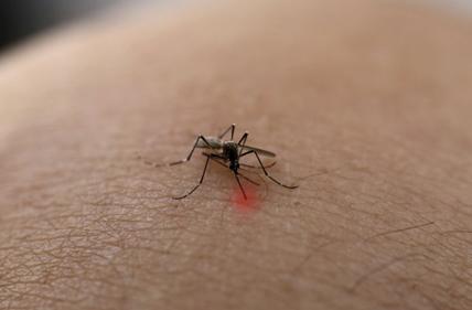 1561358303109087488.jpg u=4260816782,2623167310&fm=26&gp=0.jpg