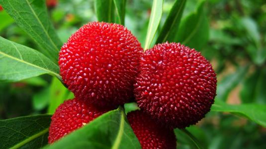 1561973483953060667.jpg u=301726498,671735039&fm=26&gp=0.jpg